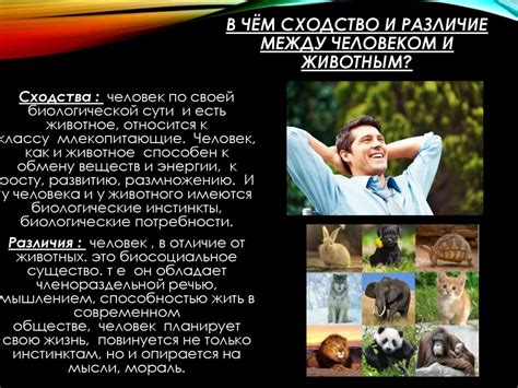 Различие между молодым человеком и мужчиной
