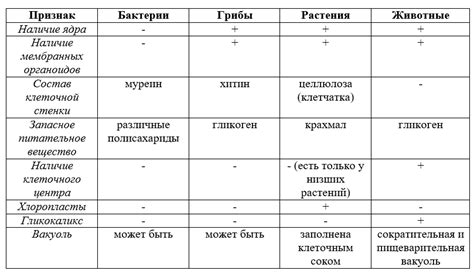 Различия в визуальном представлении и настройке графики