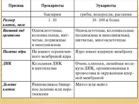 Различия в используемых материалах и оборудовании