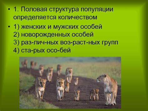 Различия в поведении мужских и женских особей гольцов