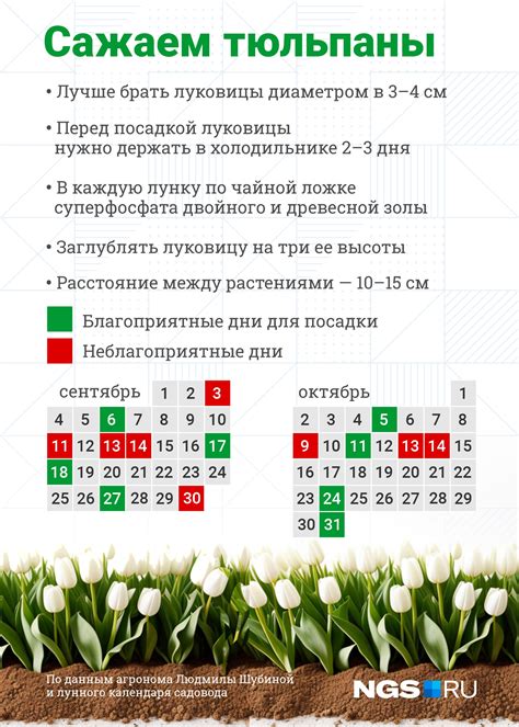 Различия в сроках посадки и сбора