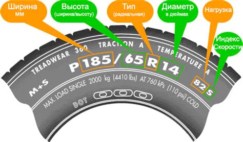 Размеры и типы шин: факторы, которые важно учесть
