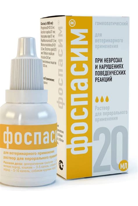Размер налога на собак в Беларуси и способы оплаты