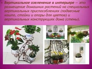 Размещение вертикальных растений
