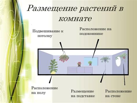 Размещение растений