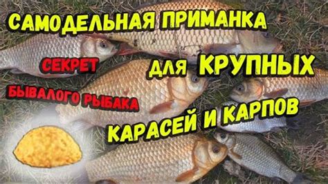 Размножение карпов и карасей