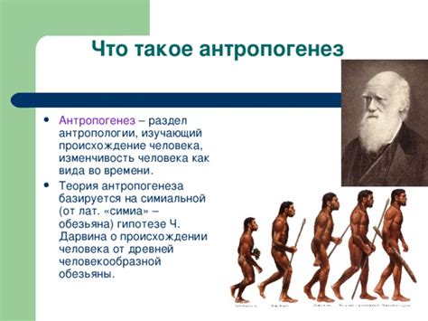 Размышления о антропологии