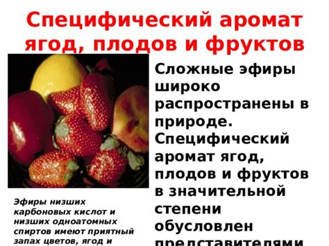 Разновидности фруктов в природе