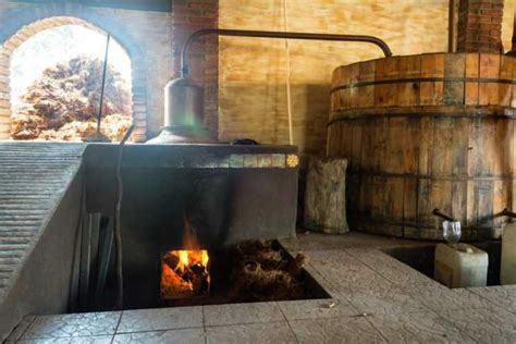 Разнообразие вкусовых изысков, создаваемых с помощью завораживающего масла