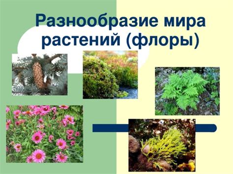 Разнообразие микробной флоры в перегное