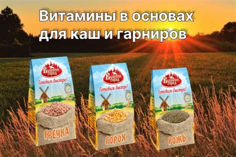 Разнообразие пользы: какие ценные компоненты содержатся в овсяных кашах