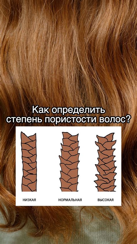 Разнообразие техник придания оттенков волосам в зависимости от их особенностей