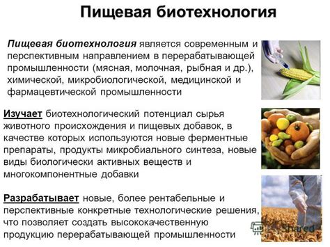 Разнообразные сферы применения гелеобразной массы в пищевой и фармацевтической отрасли