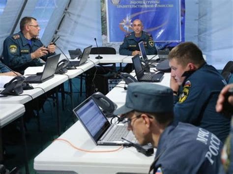 Разработка плана действий по уходу весной