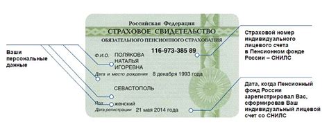Распечатка СНИЛС для официальных целей