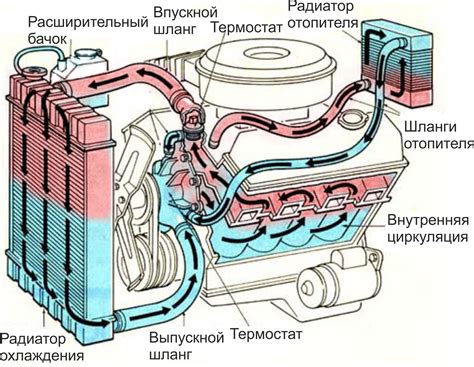 Расположение и назначение системы воздушного потока в холодильнике Bosch двухкамерный