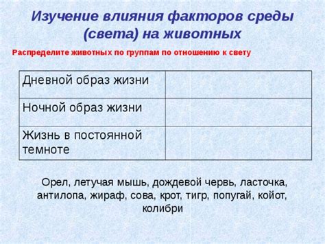Распределите время на изучение разделов