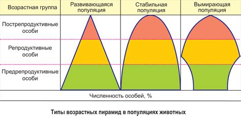 Распространение и возрастная группа