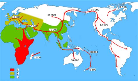 Распространение Homo sapiens: миграции и колонизация