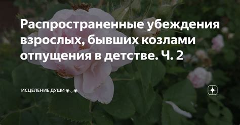 Распространенные убеждения о поступлении в ФРГ