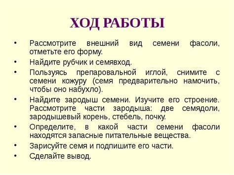 Рассмотрите внешний вид