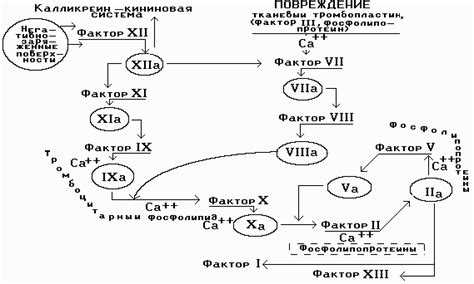 Расстройства свертываемости крови