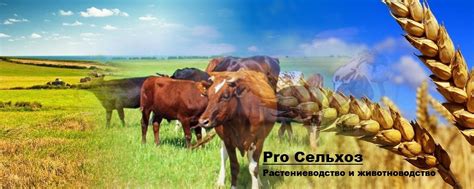 Растениеводство и животноводство