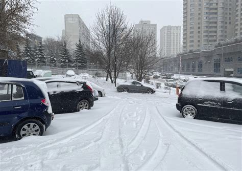 Растущая популярность иностранных автомобилей на российском рынке