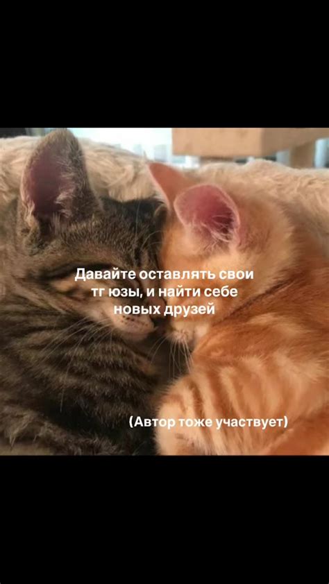 Расширение круга общения и увеличение круга интересов