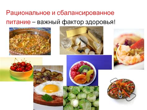 Рациональное питание: важный фактор успешного ухода