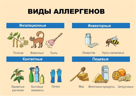 Реакция на аллергены в орхидеях: основные моменты