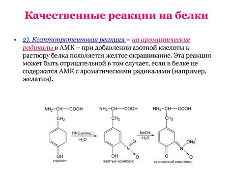 Реакция на белки