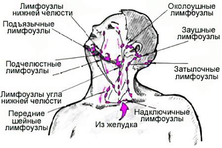 Реакция организма на постоянное перекатывание на шее