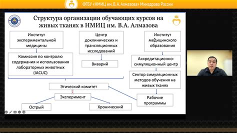 Реалии и перспективы практической работы для студентов гибкой формы обучения