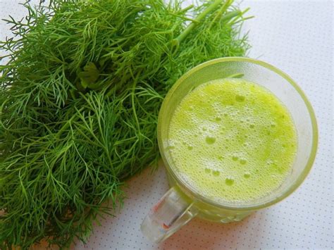 Реальная польза или мнимая выгода: укропная водичка как дополнение к пище