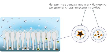 Регулярная очистка и увлажнение