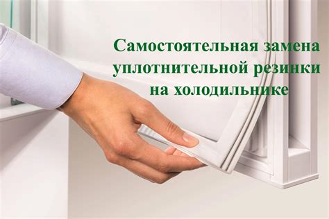 Регулярная проверка и обслуживание уплотнителя двери: гарантия идеальной работы холодильника