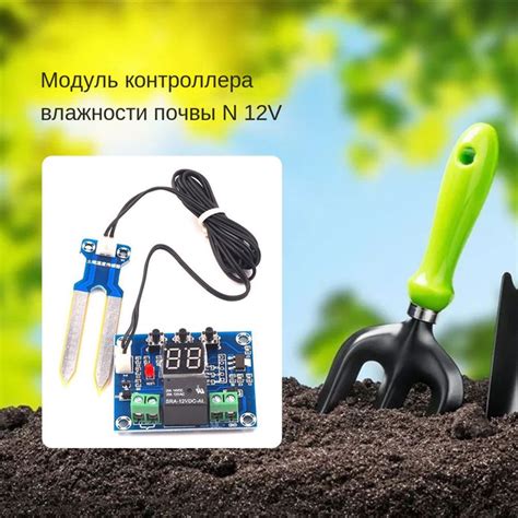 Регулярный полив и контроль влажности