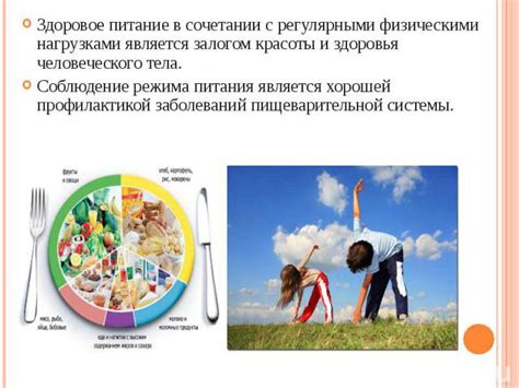 Режим кормления и частота приема пищи