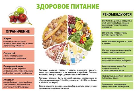Режим питания: здоровое питание и рационы