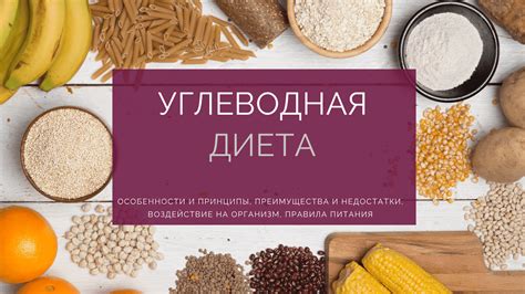 Режим питания Магги: воздействие на организм