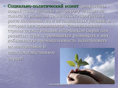 Результаты изучения воздействия на природу: итоги анализа