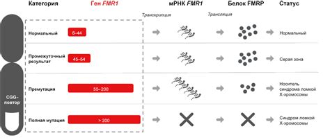 Результаты скрининга и их интерпретация