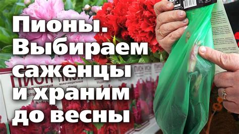 Рекомендации по выбору посадки