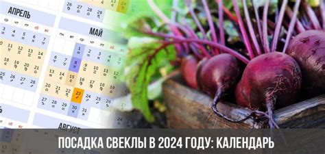 Рекомендации по замораживанию свеклы