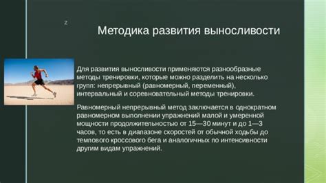 Рекомендации по интенсивности тренировки