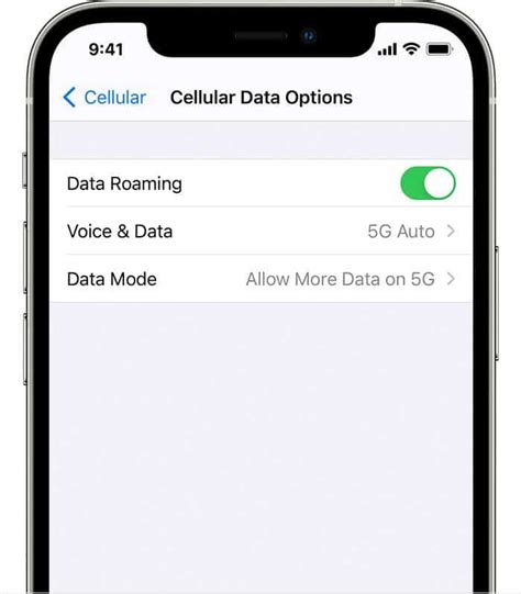 Рекомендации по настройке и использованию сети на iPhone: выбор и оптимальное использование