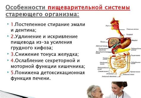 Рекомендации по правильному приему