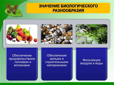 Рекомендации по сохранению различных видов каны