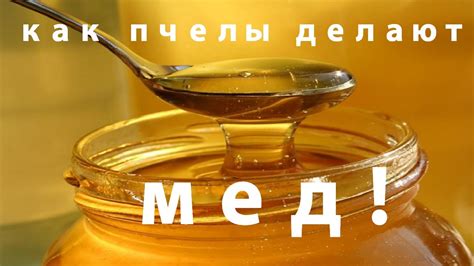 Рекомендации специалистов о меде